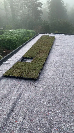 Realisatie van plat dak door Fix-M, foto 32